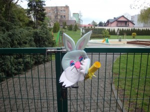 DSC03080