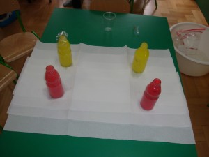 DSC03149